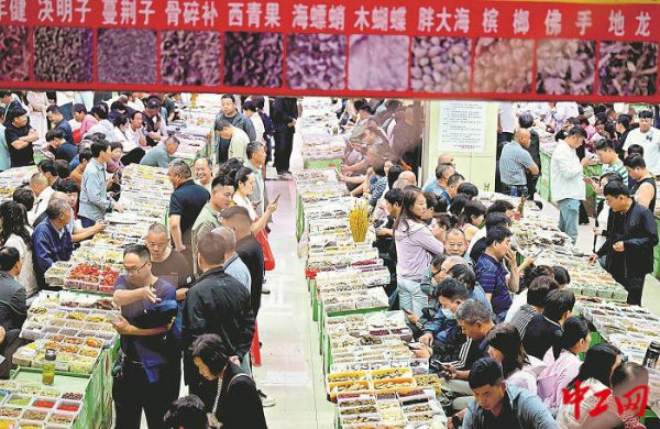 银行股票配资 初夏“药市”交易火