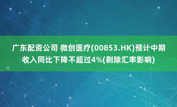 广东配资公司 微创医疗(00853.HK)预计中期收入同比下降不超过4%(剔除汇率影响)