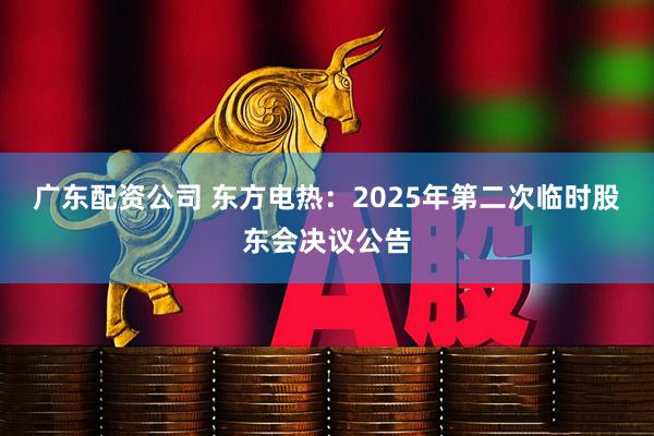 广东配资公司 东方电热：2025年第二次临时股东会决议公告